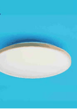 縁の付いた白い円盤形の薄い照明器具