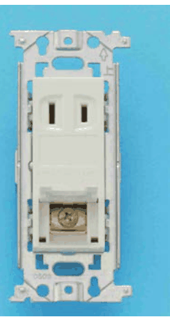 カラー写真。取付枠に付いた灰色の器具で,上部に縦長の刃受穴が2つ,下部に金色の端子ねじの付いた部分がある