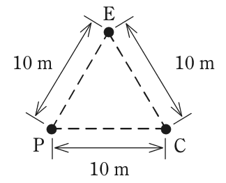 E，P，Cが三角形の頂点（上にE，左下にP，右下にC）にあり，3点の間を破線で結び，E－P間，E－C間，P－C間がそれぞれ10 m